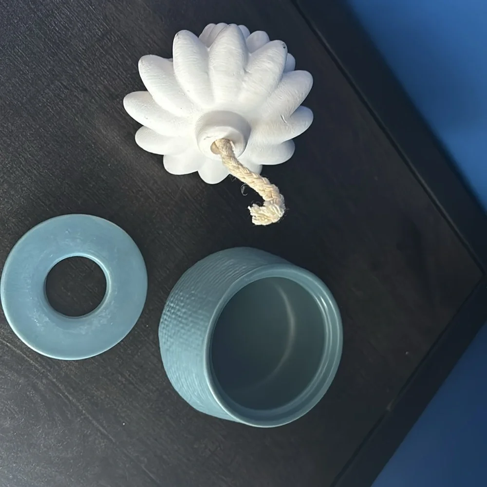 {Huntington Home} Blue Succulent Essential Oil wick diffuser